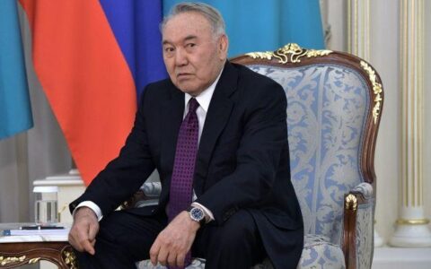 Елбасы, Назарбаев, политик, флаг