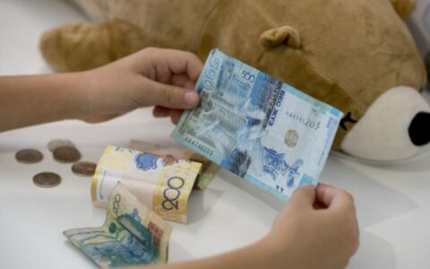 алименты, деньги, тенге, мишка