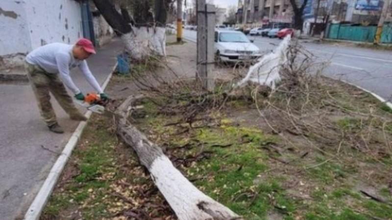 Ураган в Казахстане