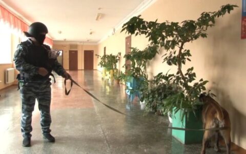 сорвал занятия в школе