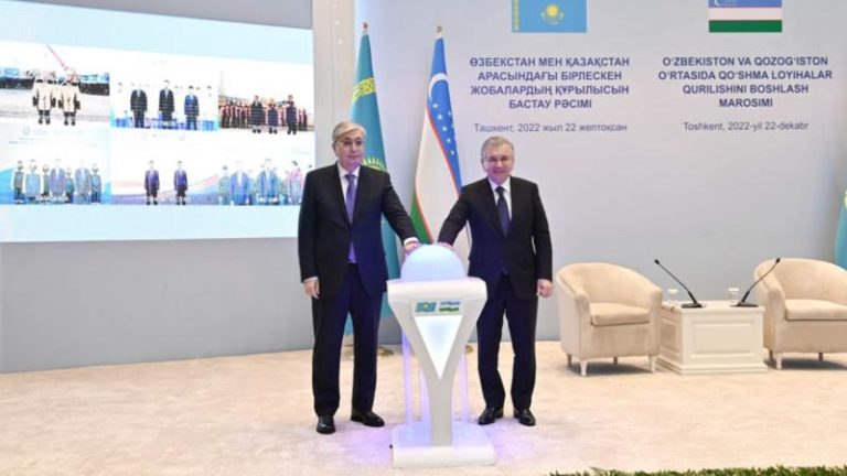 Токаев и Мирзиеев
