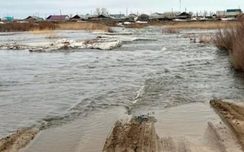 таможня
