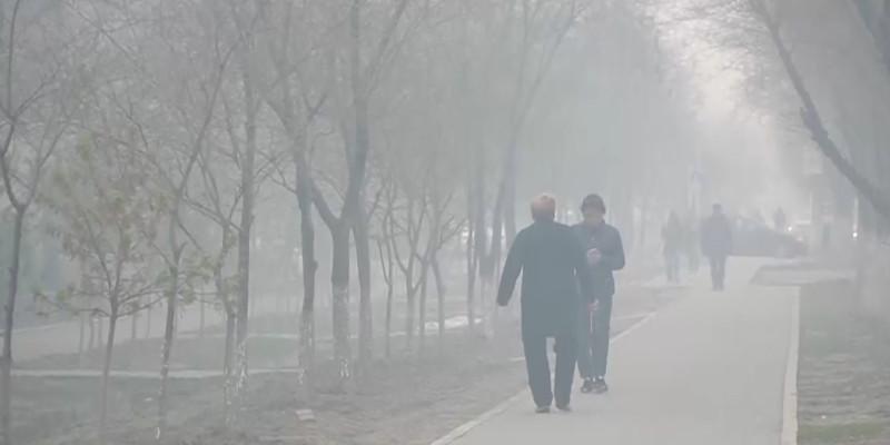 смог