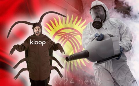 kloop media