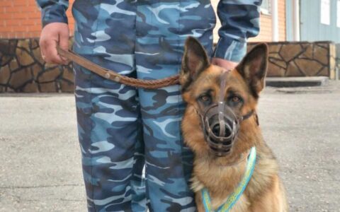 Побег