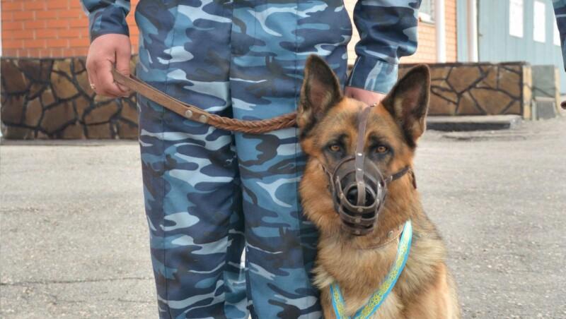 Побег