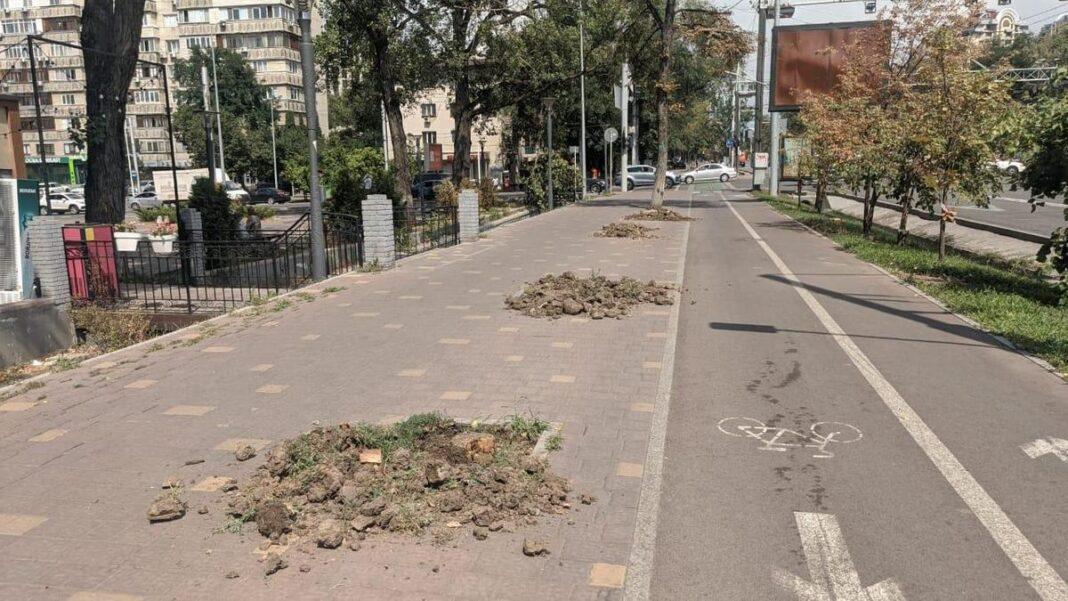 Вырубка