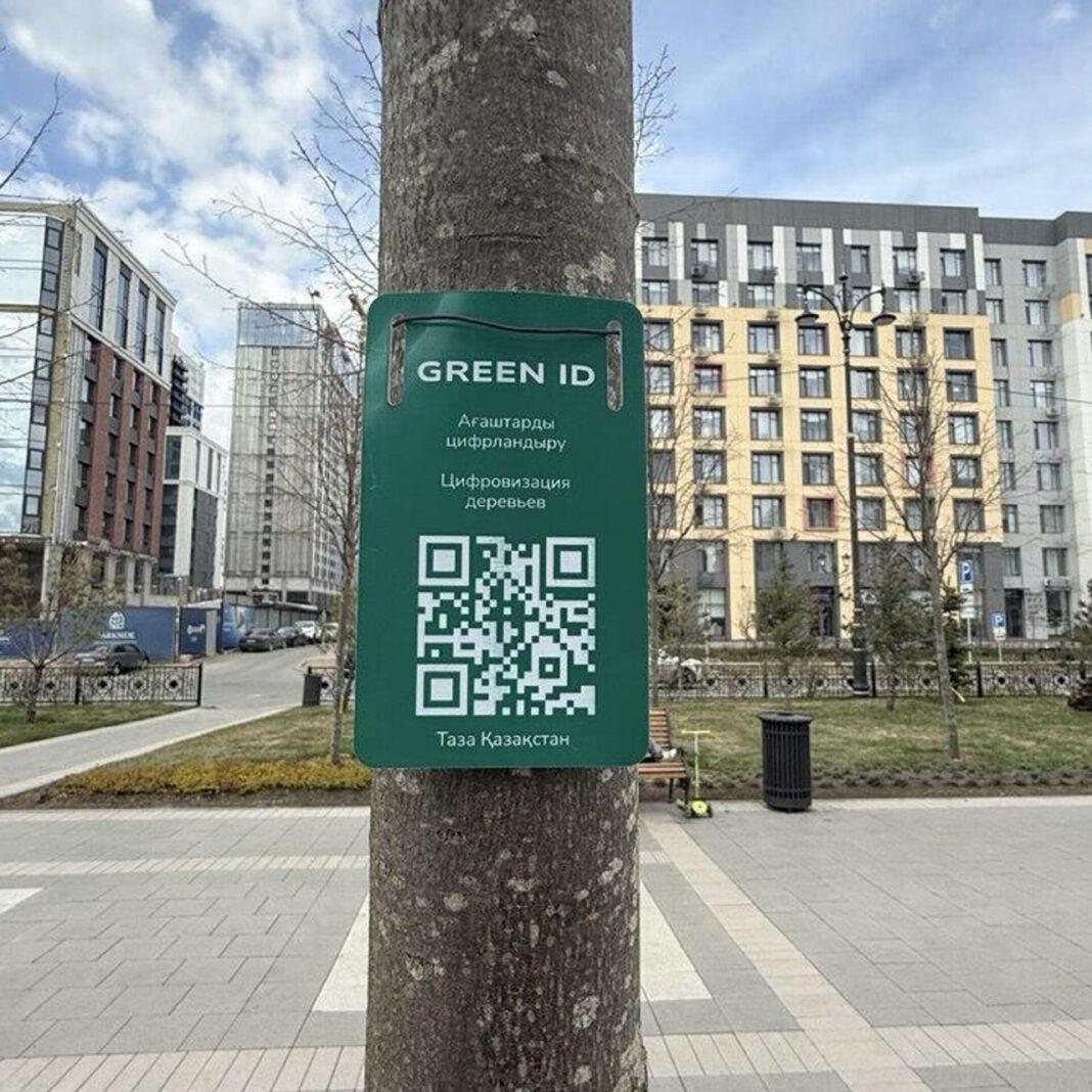Цифровизация деревьев