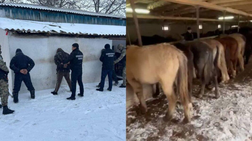 конокрады