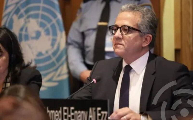 Члены исполнительного совета ЮНЕСКО представили Халеда Аль-Анани (Египет) на должность генерального директора