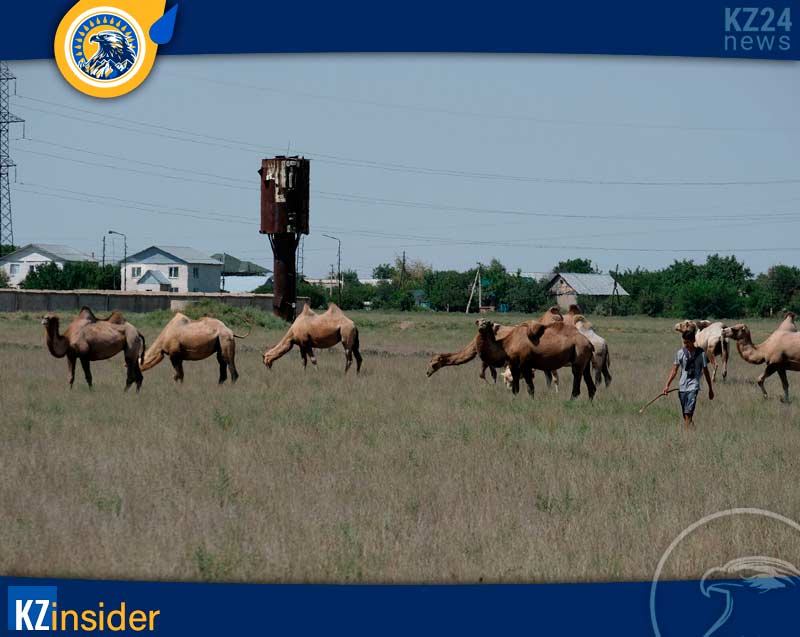 жители Караойского сельского округа