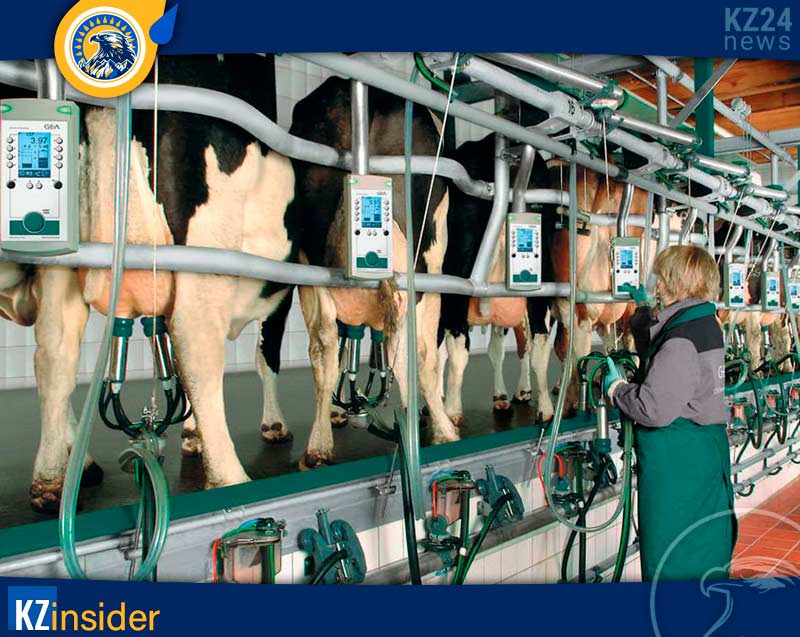 Молочное животноводство