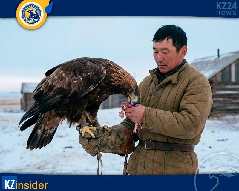 Кормление, уход и режим содержания