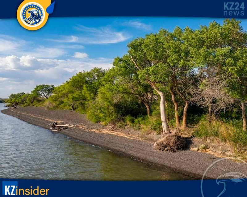 Название «Жаланашколь»