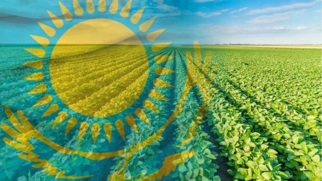 Стилизация на тему аграрной жизни