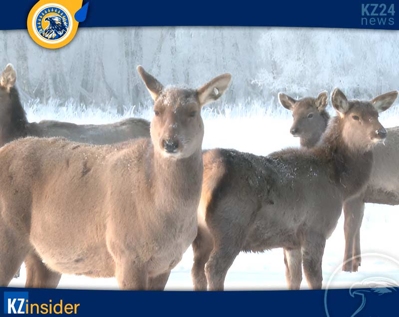 Территория национального парка «Буйратау»