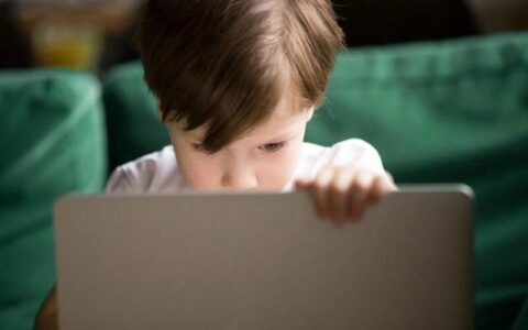 В странах Европейского союза усиливаются дискуссии о введении возрастных ограничений для использования социальных сетей