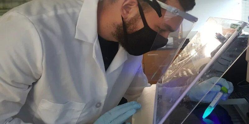 Пластиковые отходы помогают учёным