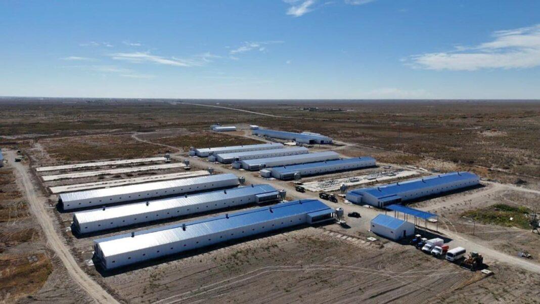 Птицефабрика с высоты птичьего полета