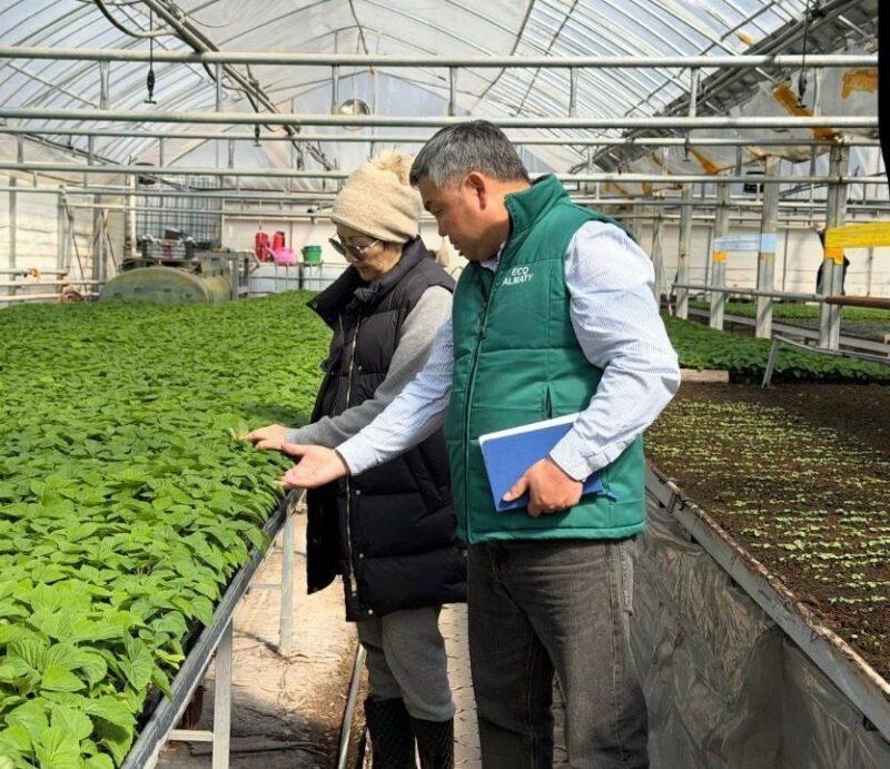 Инспекция саженцев