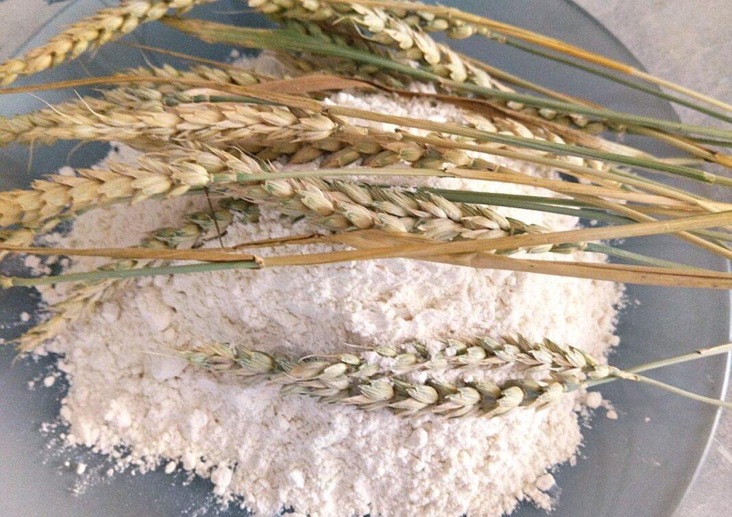 Казахстанские агротрейдеры заявили о фактической остановке экспорта в Китай