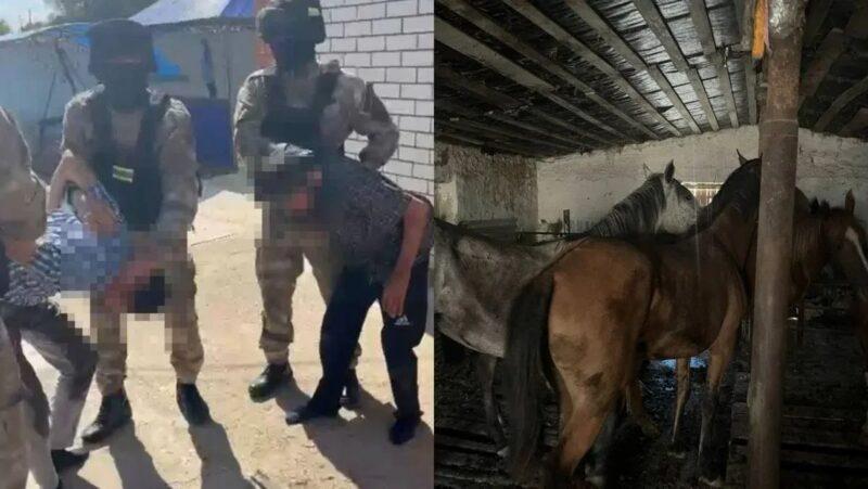 Полиция Жамбылской области накрыла банду конокрадов 1 Операция