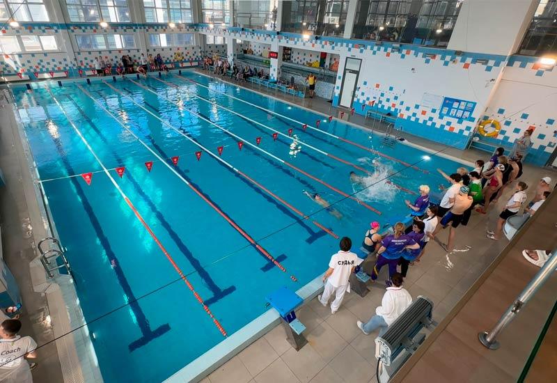 турнир по плаванию Солнечный Алтай