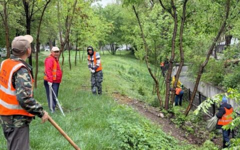 В Алматы жители и городские службы очистили прибрежные зоны