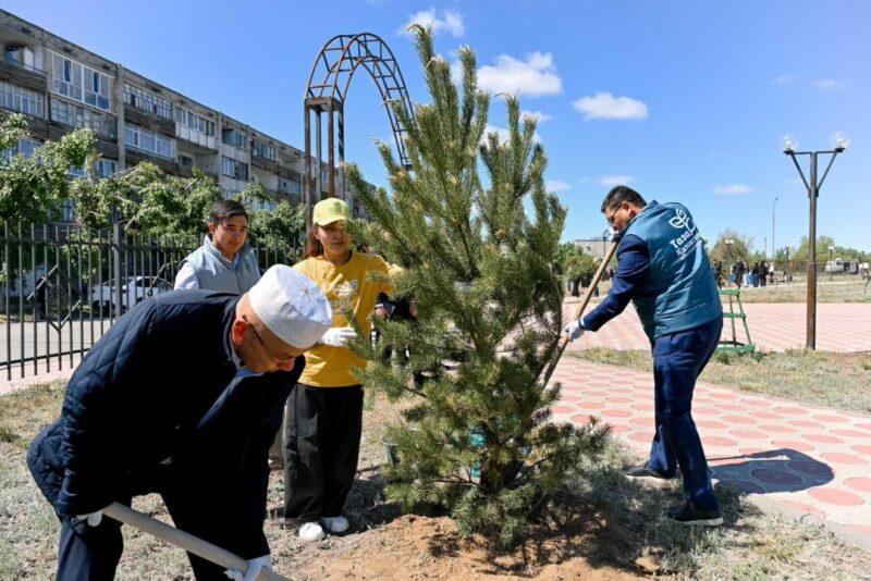 Аким области Абай и молодёжь высадили саженцы в Молодёжном парке Курчатова 1 Высадка
