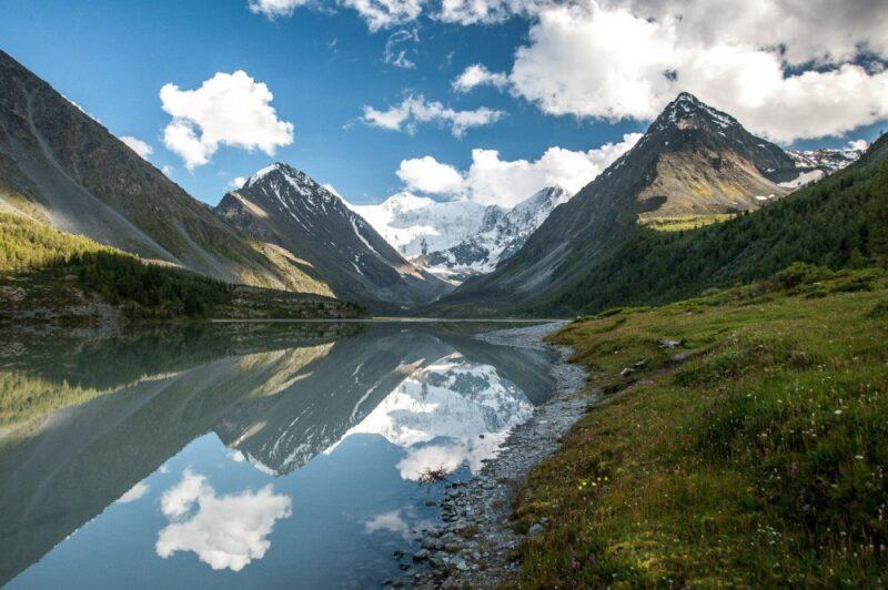 Белуха