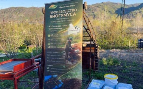 Биогумус