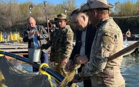 Территория предприятия