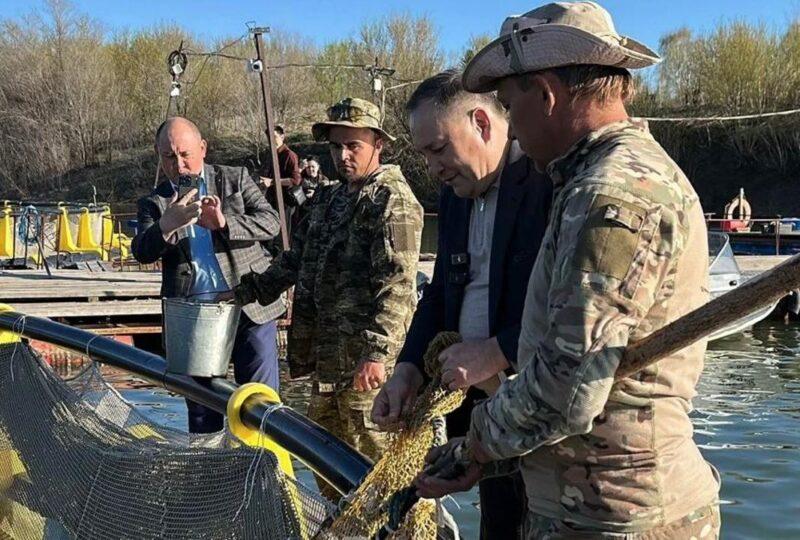 Территория предприятия