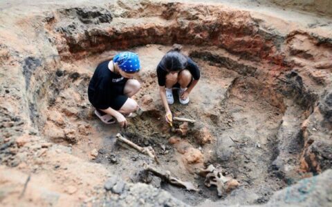 На севере Казахстана нашли следы крупного центра эпохи Золотой Орды
