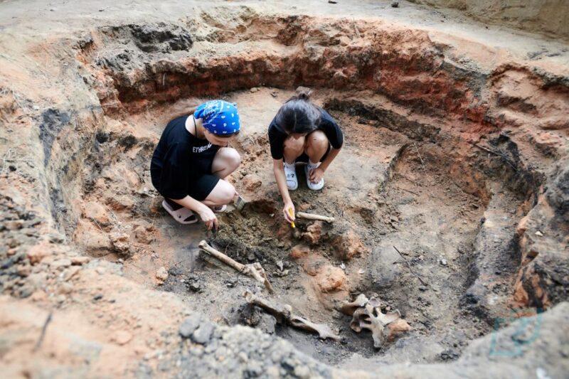 На севере Казахстана нашли следы крупного центра эпохи Золотой Орды