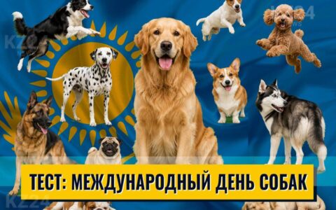 Международный день собак