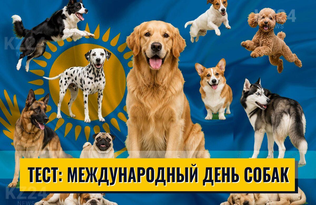 Международный день собак