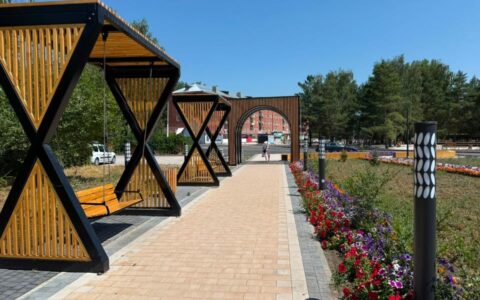 Обновлённые виды
