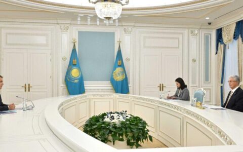 Президент принял главного исполнительного директора Air Astana Ибрахима Жанлыела