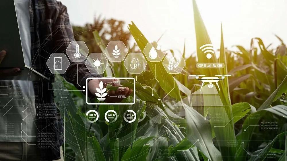 Производителям агропродукции обещают новые возможности для роста Производителям агропродукции обещают новые возможности для роста