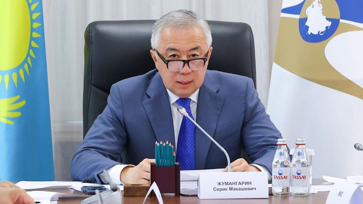 ЕЭК поддержала отсрочку по навигационным пломбам для Казахстана 1 Выступление Серика Жумангарина