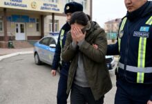 Бухгалтер детсада