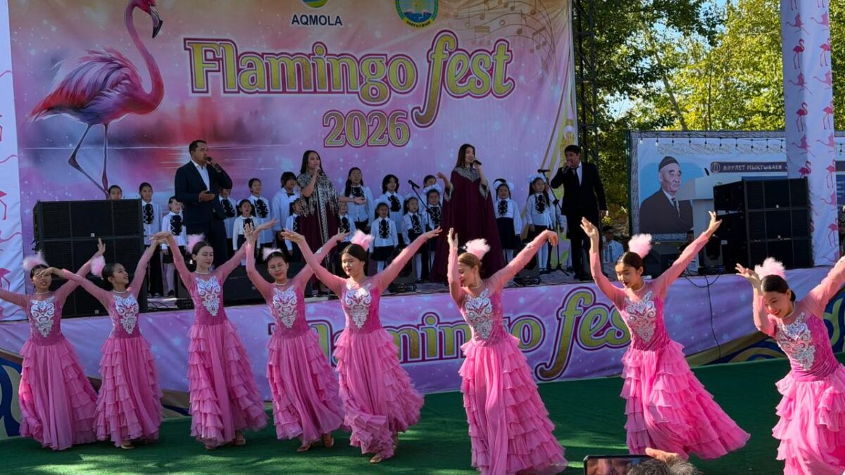 Flamingo Fest