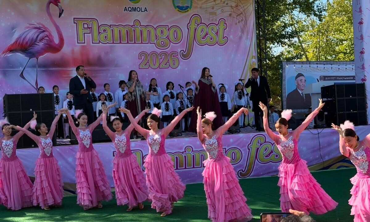 Flamingo Fest