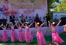 Flamingo Fest