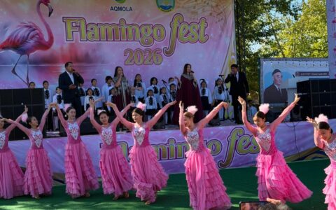 Flamingo Fest