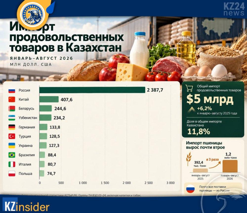 Инфографика