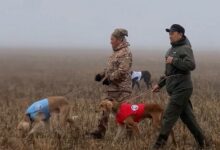 Соревнования