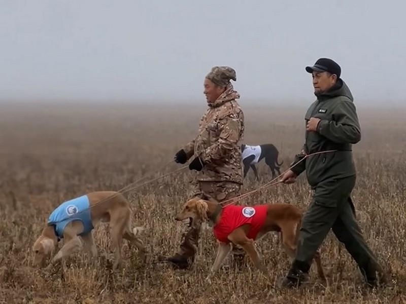 Соревнования