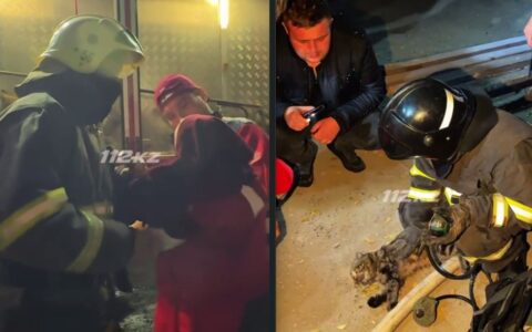 В Сатпаеве спасатели эвакуировали 14 человек из горящей пятиэтажки и спасли кошку